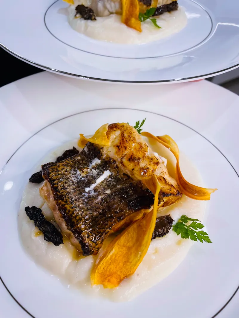 Dusky grouper, salsify, morels