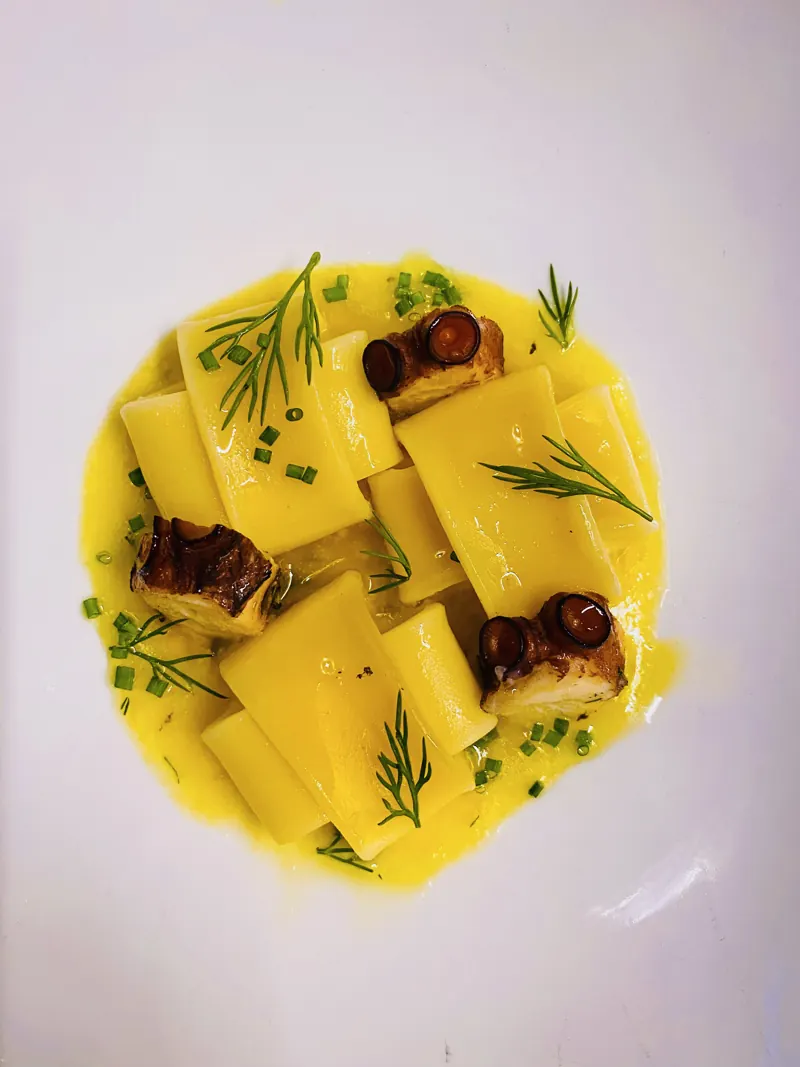 Paccheri, octopus, saffron