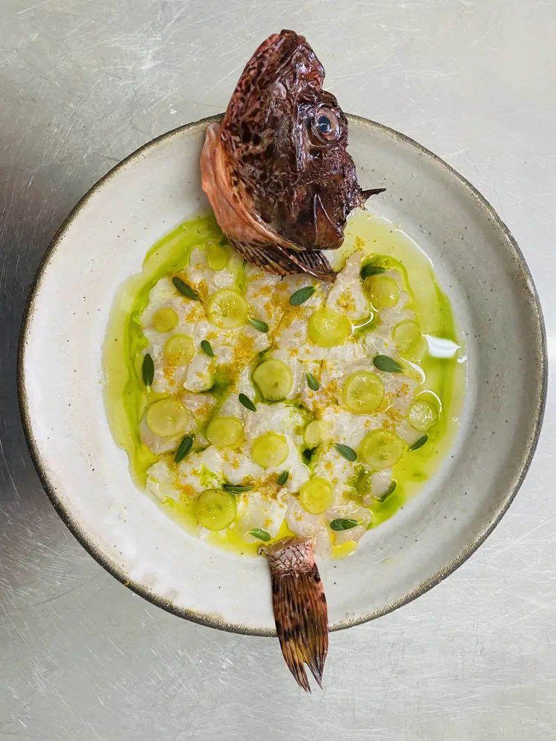 Scorpion fish, grapes, herb oil