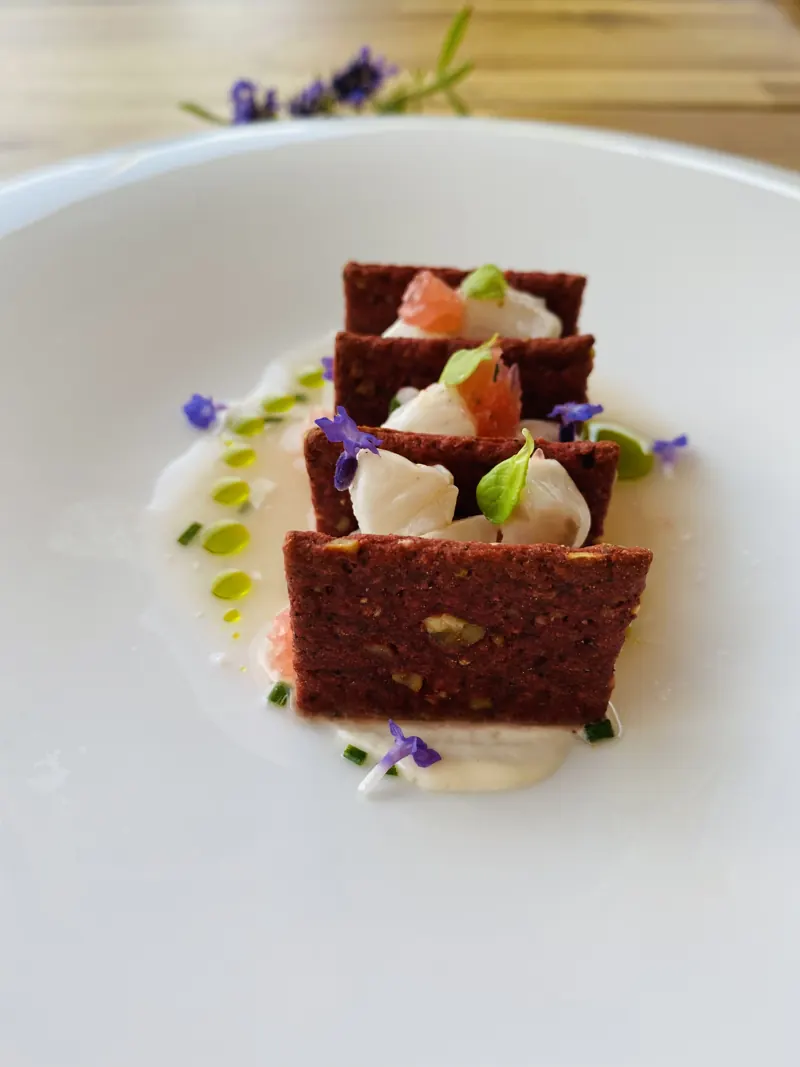 Sea bream, kefir, beetroot biscuit