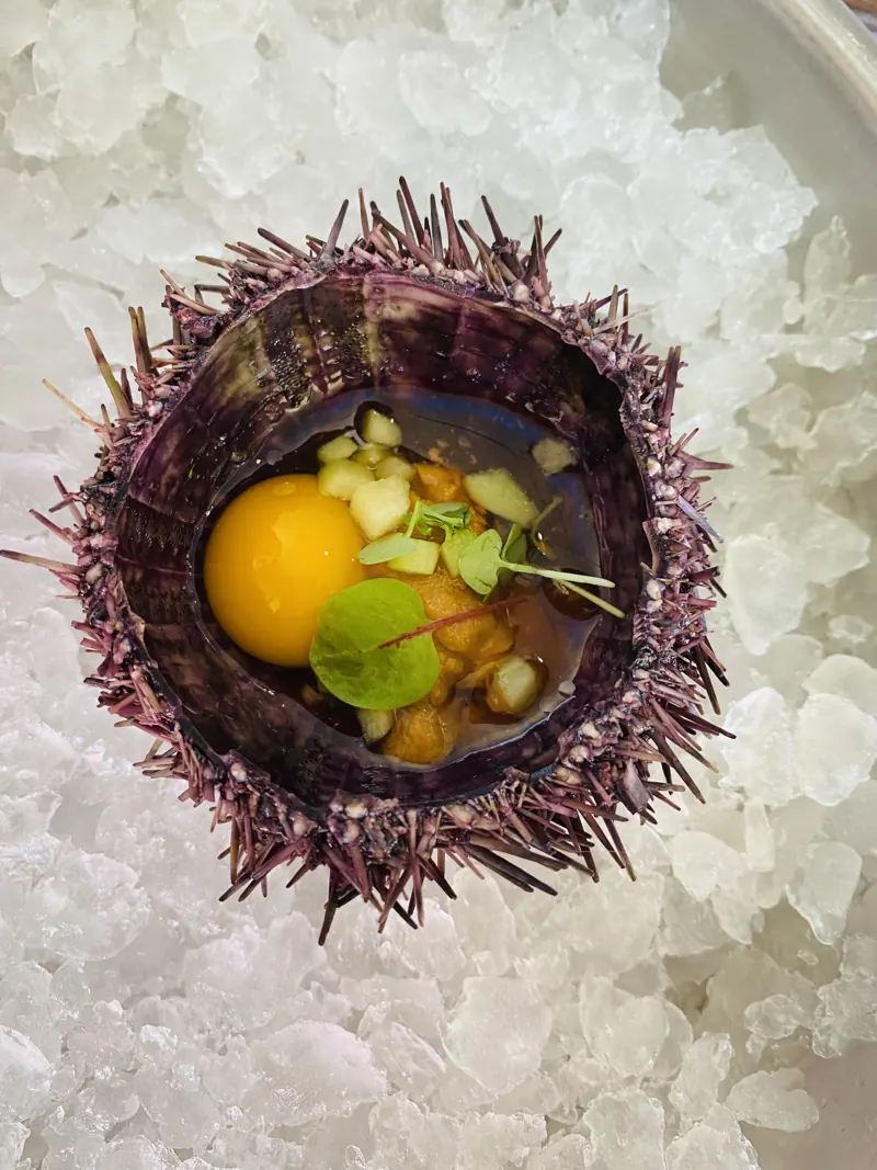 Sea urchin, quail yolk, green apple