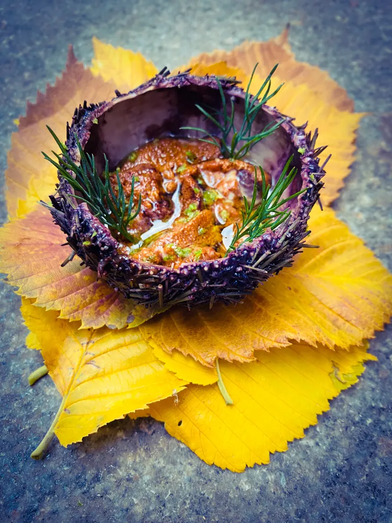 Sea urchin, yuzu