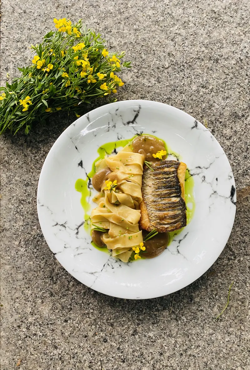 Sea bass, pappardelle, mushrooms