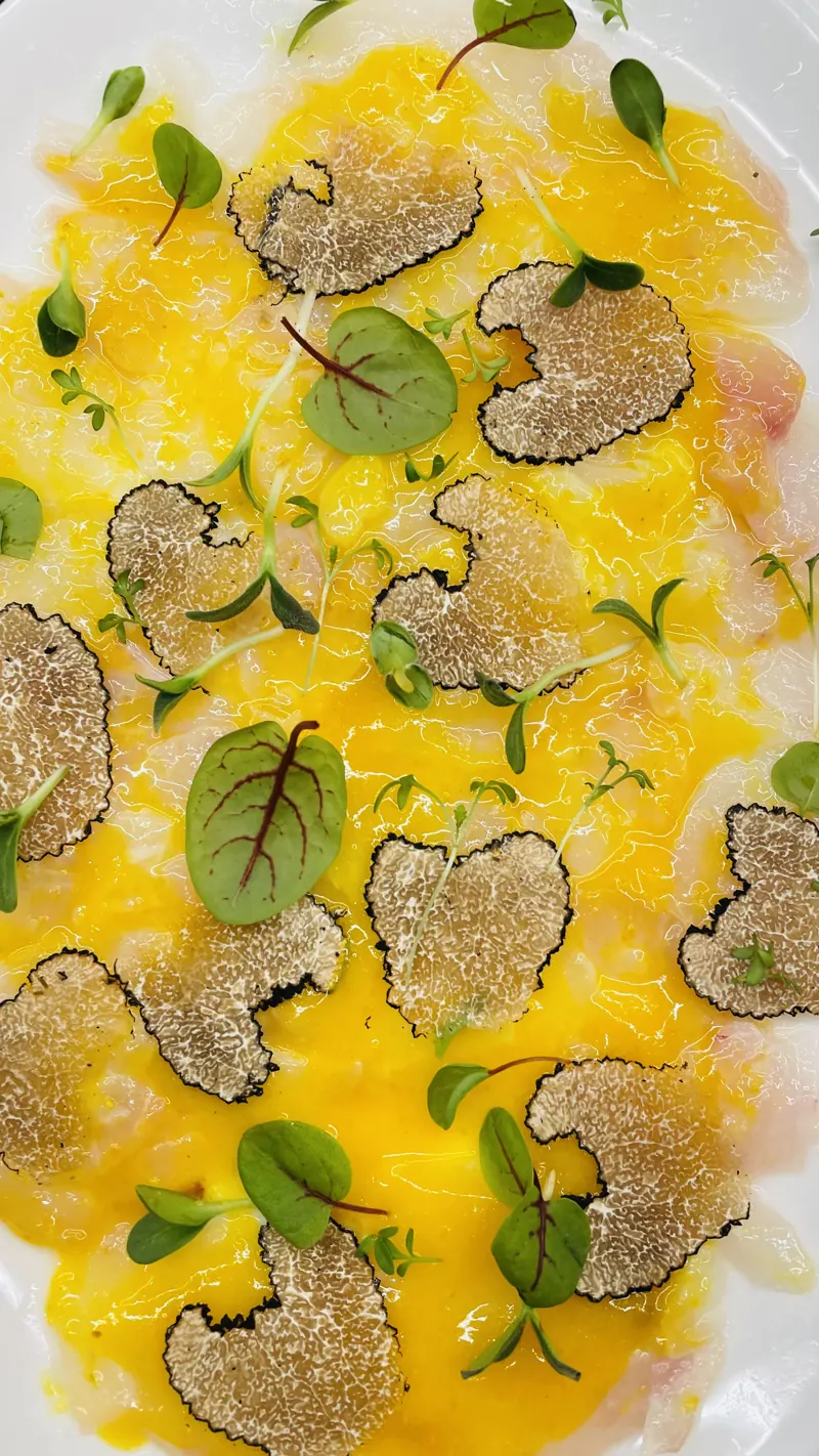 Sea bass, mango, truffle